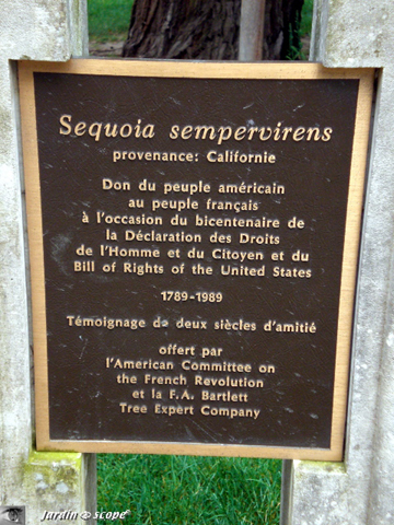 Sequoia offert par les USA