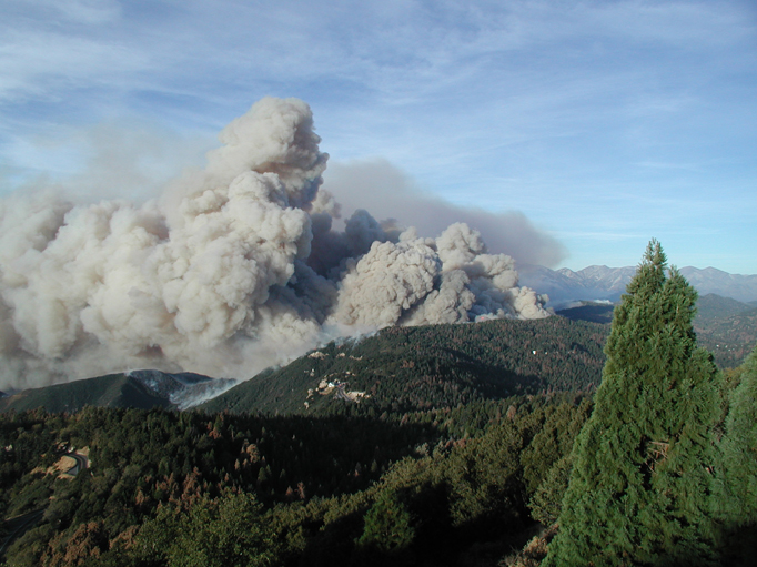 Incendie de forêt en Californie. On aperçoit un séquoia géant à l'avant-plan à droite.