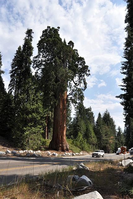Entrée de Sequoia NP en Californie