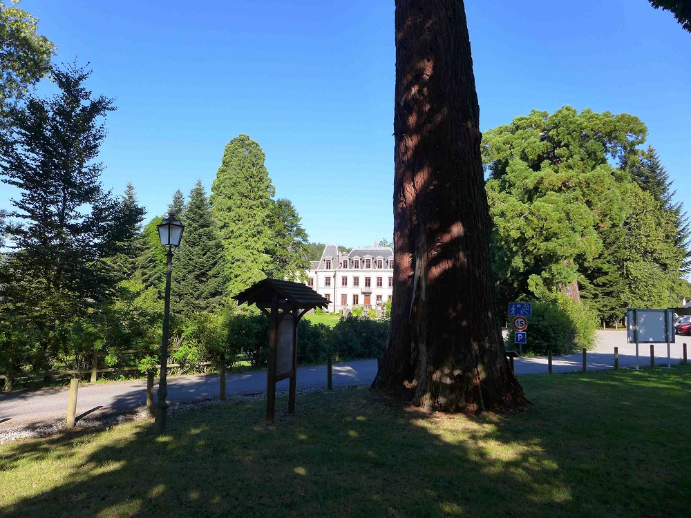 Séquoias géants à Ussel