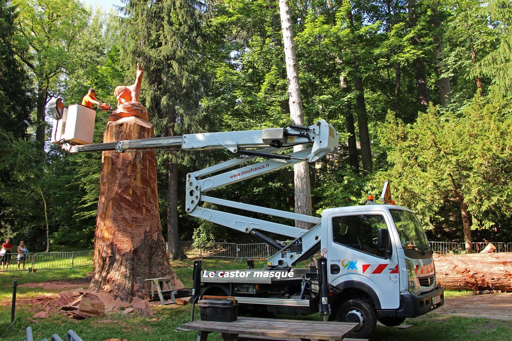 Séquoia géant à Ax les Thermes