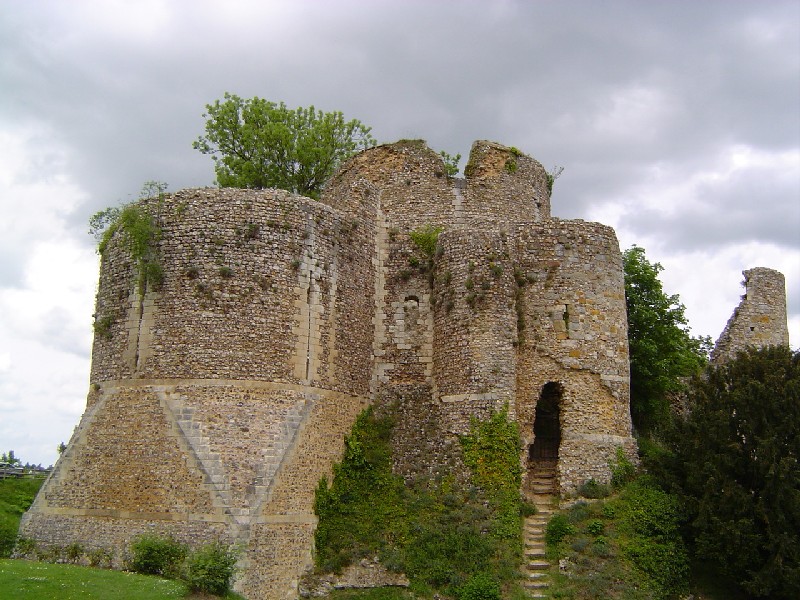 Ruines du Donjon 