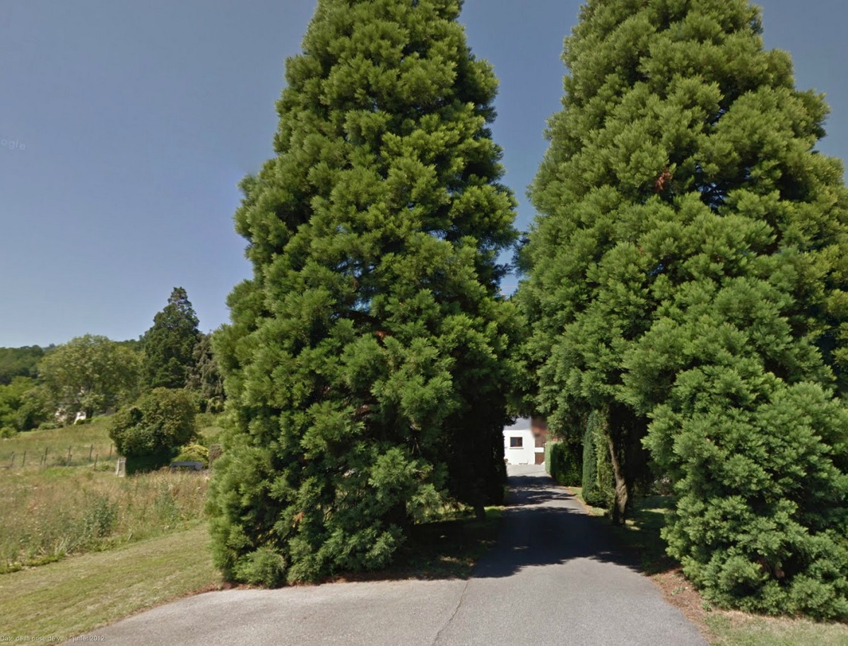 Séquoias géants à Rumilly