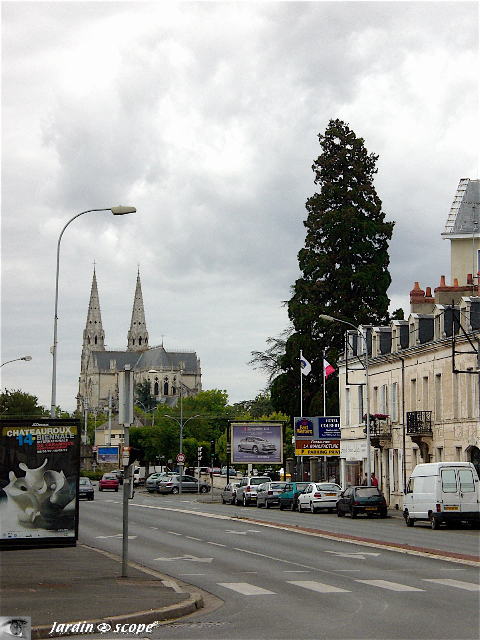sequoiadendron giganteum, Châteauroux